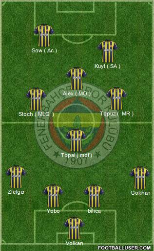 Fenerbahçe SK Formation 2012