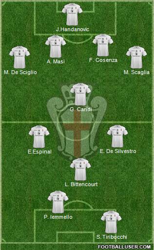 Pro Vercelli Formation 2012