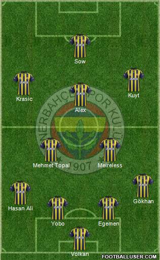 Fenerbahçe SK Formation 2012