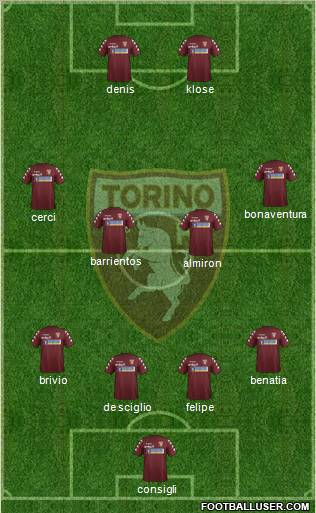 Torino Formation 2012