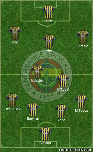 Fenerbahçe SK Formation 2012