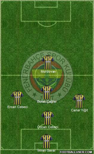 Fenerbahçe SK Formation 2012