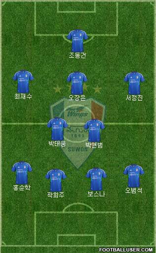 Suwon Samsung Blue Wings Formation 2012