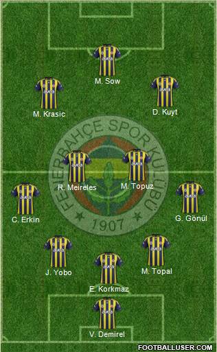 Fenerbahçe SK Formation 2012
