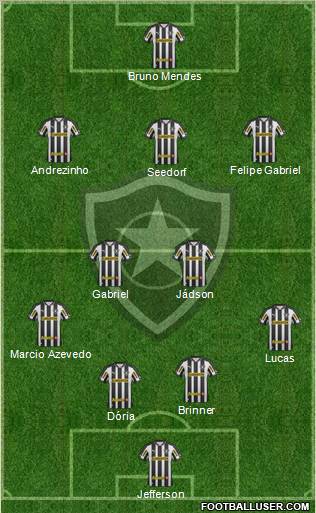 Botafogo FR Formation 2012