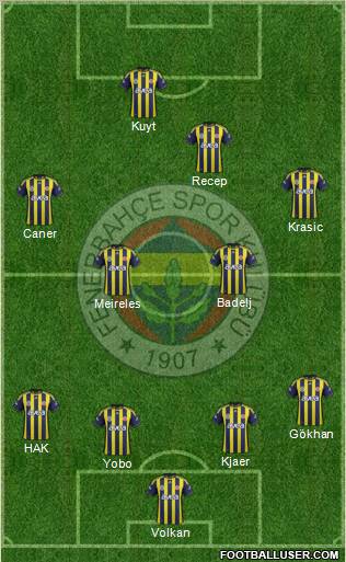 Fenerbahçe SK Formation 2012