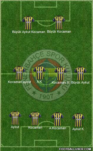 Fenerbahçe SK Formation 2012