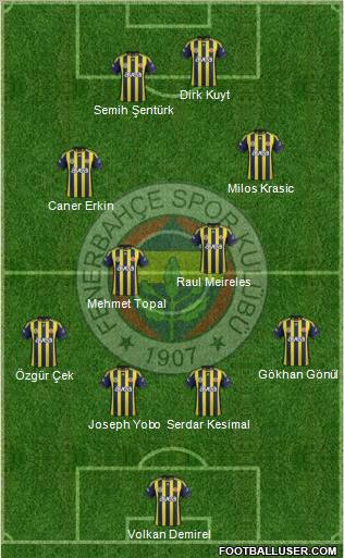 Fenerbahçe SK Formation 2012
