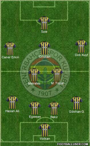 Fenerbahçe SK Formation 2012