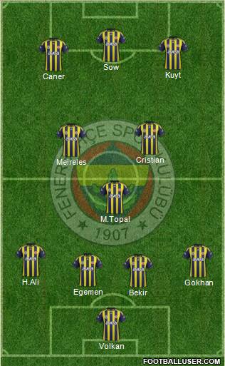 Fenerbahçe SK Formation 2012