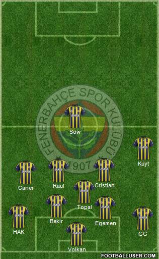 Fenerbahçe SK Formation 2012
