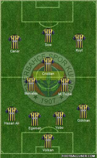 Fenerbahçe SK Formation 2012