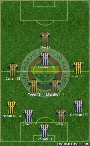 Fenerbahçe SK Formation 2012