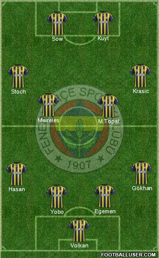 Fenerbahçe SK Formation 2012