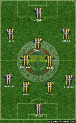 Fenerbahçe SK Formation 2012