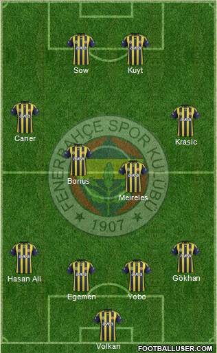 Fenerbahçe SK Formation 2012