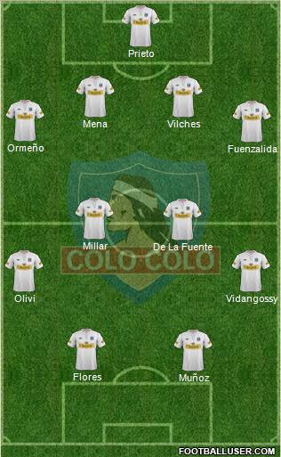 CSD Colo Colo Formation 2012