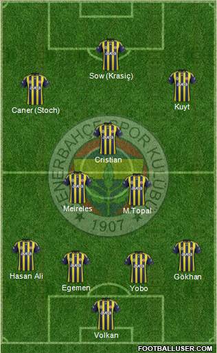 Fenerbahçe SK Formation 2012