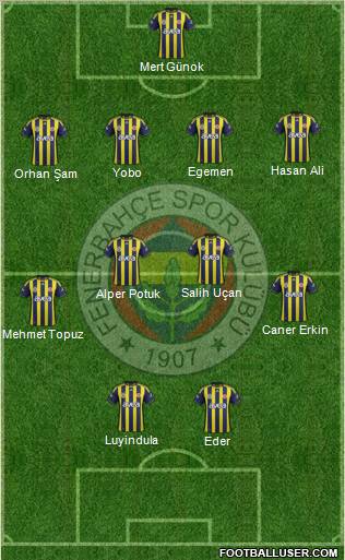 Fenerbahçe SK Formation 2012