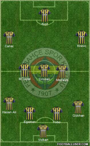 Fenerbahçe SK Formation 2012