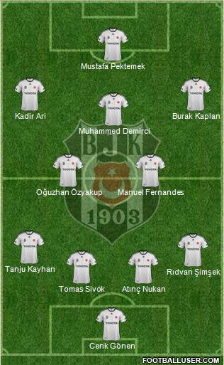 Besiktas JK Formation 2012