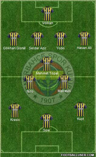 Fenerbahçe SK Formation 2012