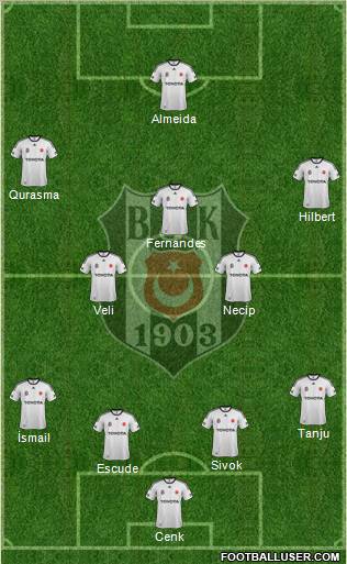 Besiktas JK Formation 2012