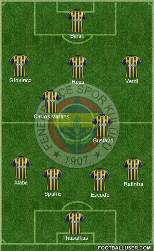 Fenerbahçe SK Formation 2012