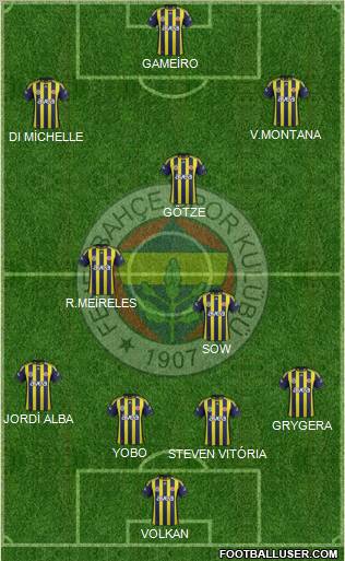 Fenerbahçe SK Formation 2012