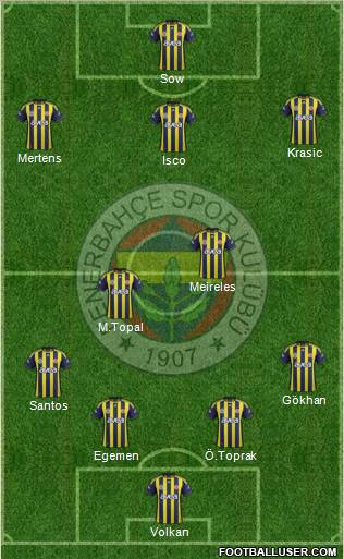 Fenerbahçe SK Formation 2012
