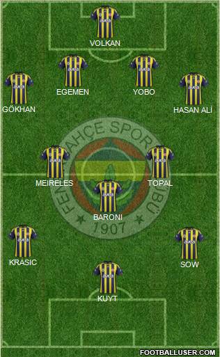 Fenerbahçe SK Formation 2012