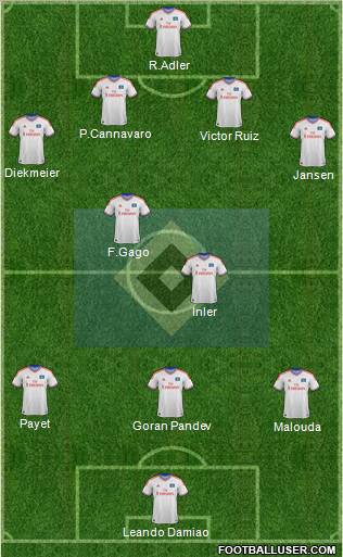 Hamburger SV Formation 2012