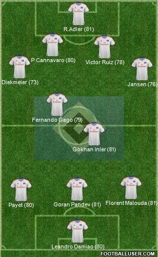 Hamburger SV Formation 2012