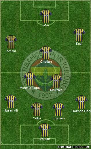 Fenerbahçe SK Formation 2012