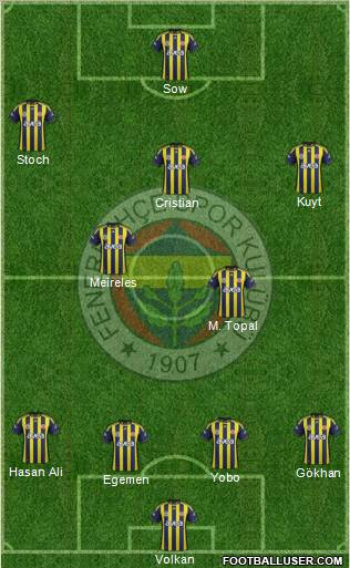 Fenerbahçe SK Formation 2012