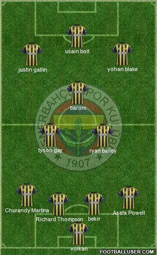 Fenerbahçe SK Formation 2012