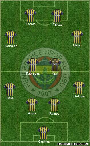Fenerbahçe SK Formation 2012