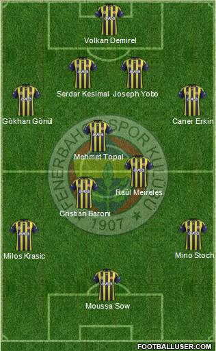 Fenerbahçe SK Formation 2012