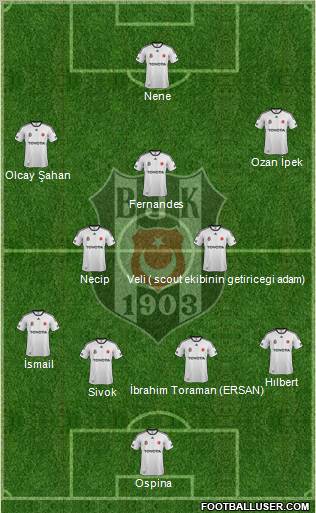 Besiktas JK Formation 2012