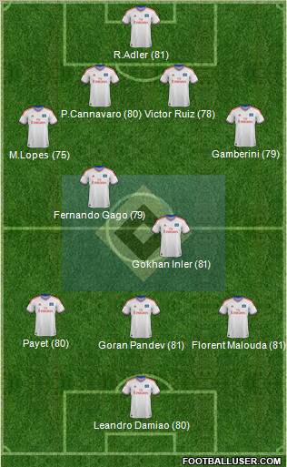 Hamburger SV Formation 2012