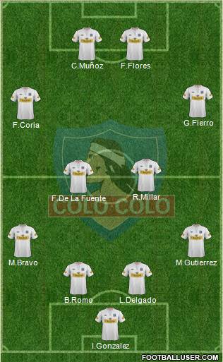CSD Colo Colo Formation 2012