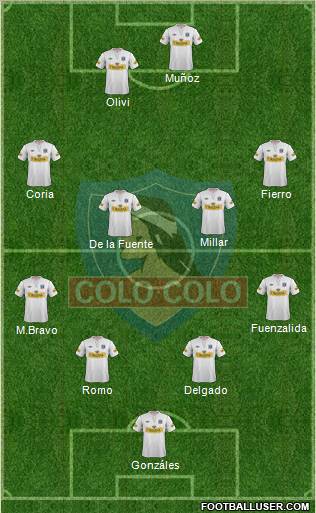 CSD Colo Colo Formation 2012