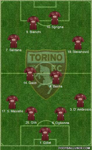 Torino Formation 2012