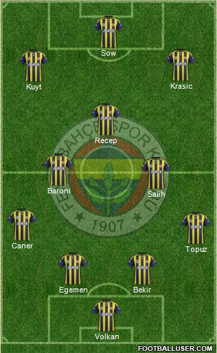 Fenerbahçe SK Formation 2012