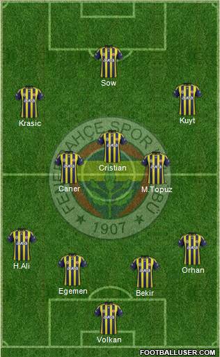 Fenerbahçe SK Formation 2012