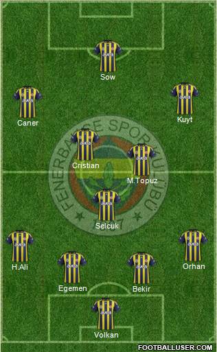 Fenerbahçe SK Formation 2012