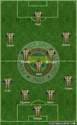 Fenerbahçe SK Formation 2012