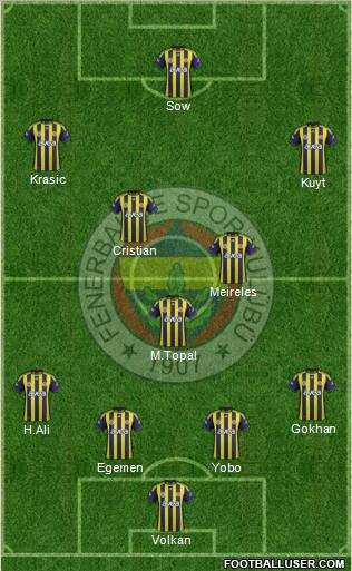 Fenerbahçe SK Formation 2012