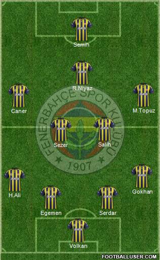 Fenerbahçe SK Formation 2012