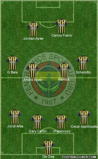 Fenerbahçe SK Formation 2012